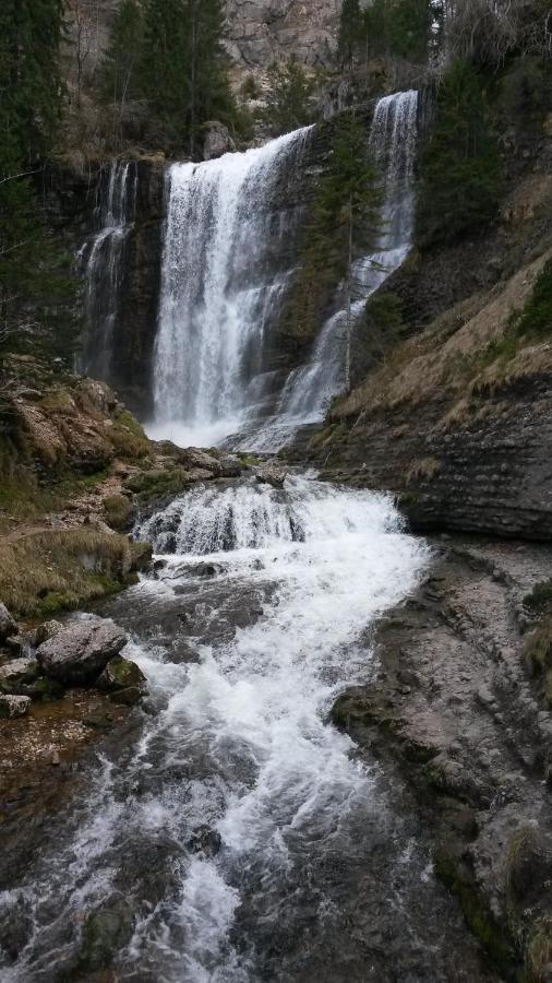 Les Tilleuls Saint-Jean-d'Avelanne Kültér fotó