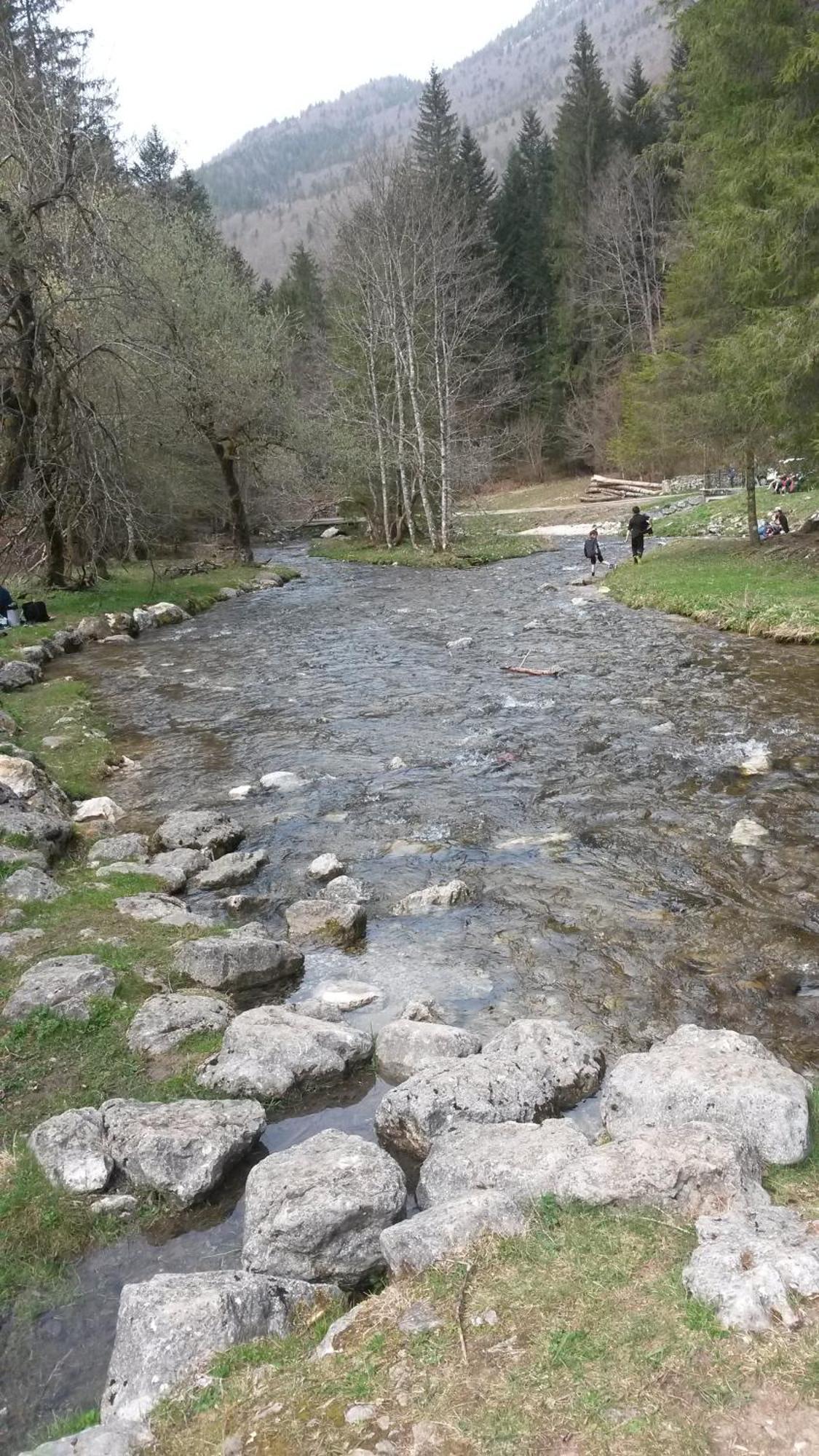 Les Tilleuls Saint-Jean-d'Avelanne Kültér fotó