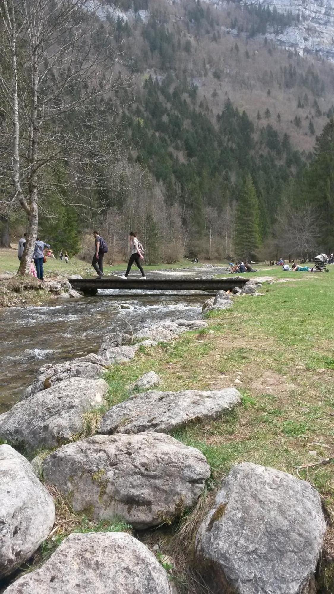 Les Tilleuls Saint-Jean-d'Avelanne Kültér fotó